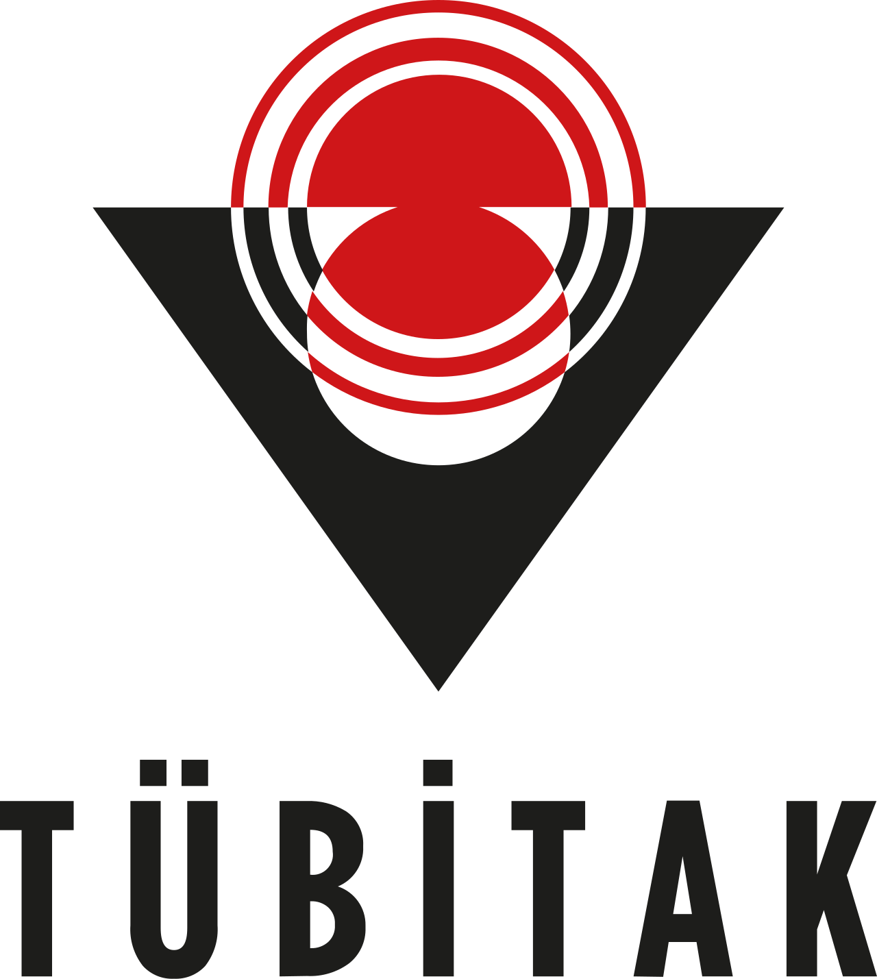 TÜBİTAK 1507